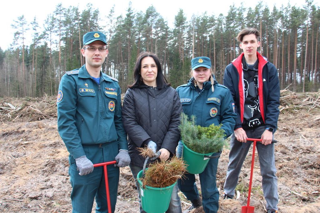 Новогрудский лесхоз