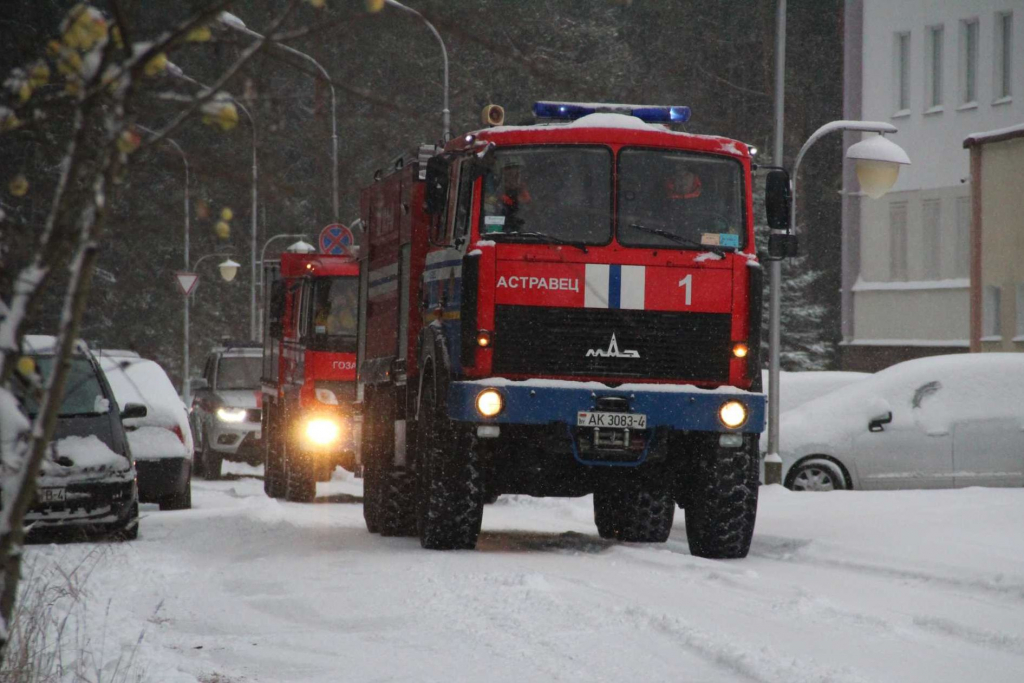 В Островецком районе обнаружено место массового расстрела мирных жителей в годы ВОВ