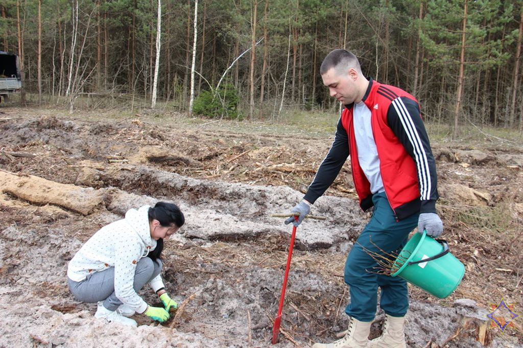 Новогрудский лесхоз