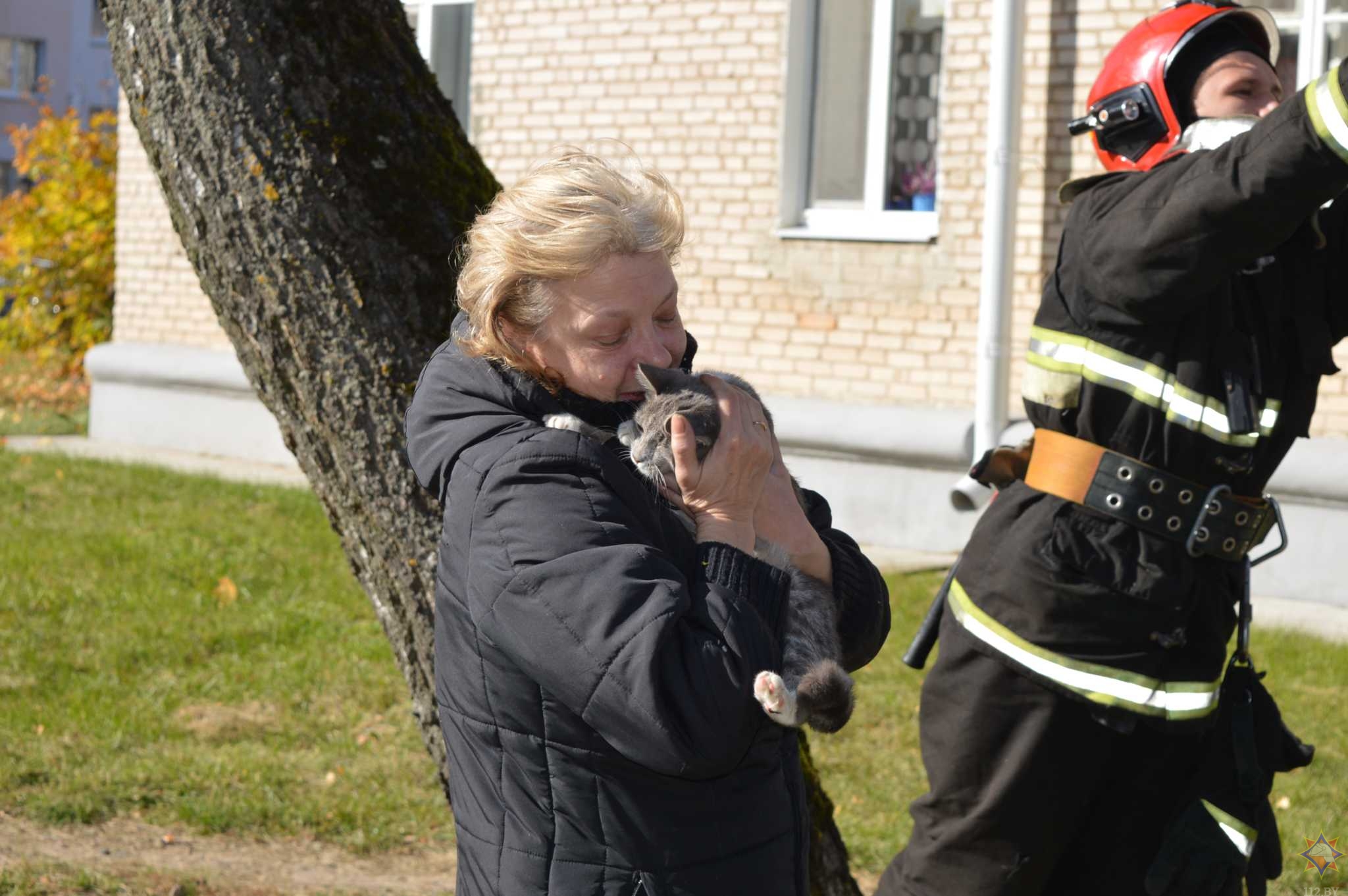 В Щучине спасатели сняли с дерева и передали хозяйке кошку, которая просидела там больше суток